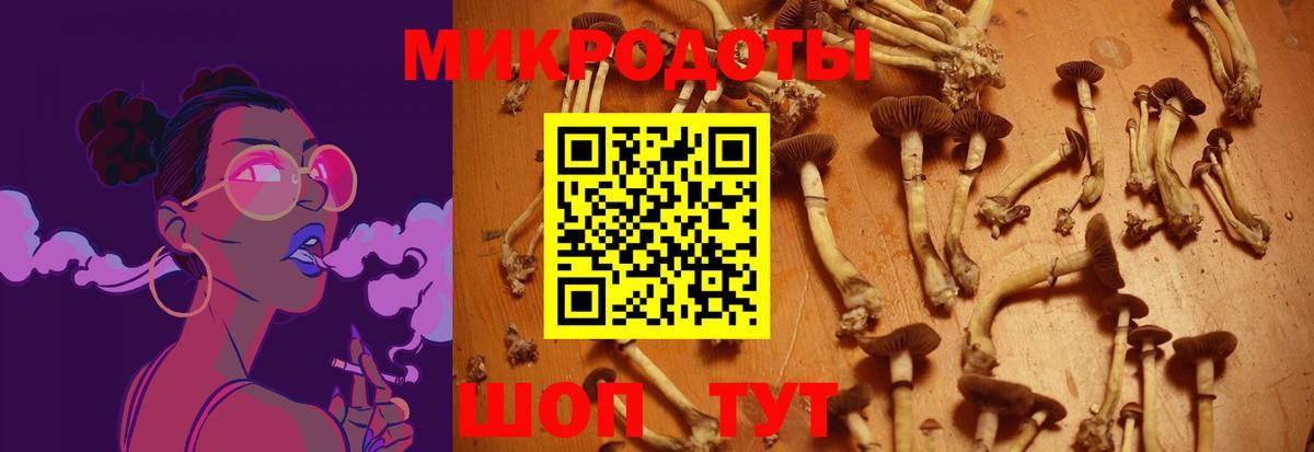 где купить   Вход с VPN  Гай  Псилоцибиновые грибы Psilocybe  Галлюциногенные грибы GOLDEN TEACHER 