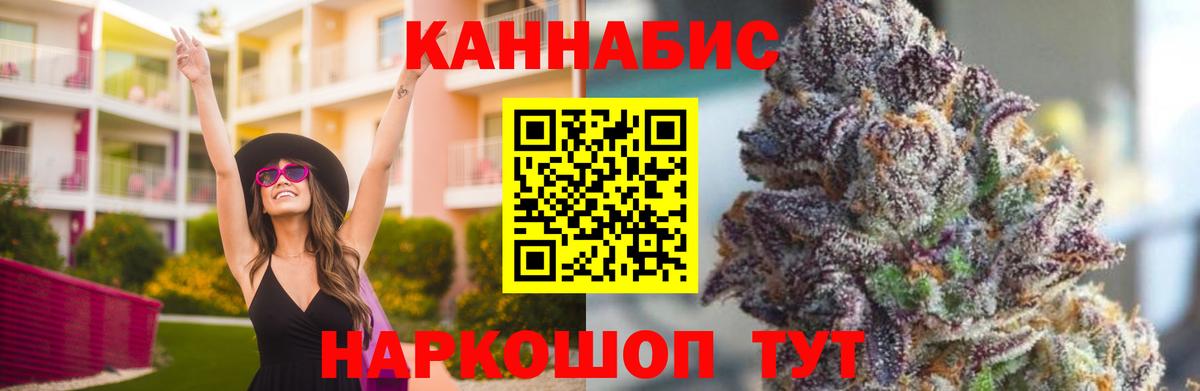 Конопля марихуана Гай